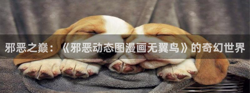 韩漫漫画免费漫画弹窗入口：邪恶之巅：《邪恶动态图漫画无翼鸟》的奇幻世界